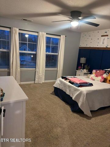 1177 Raccoon Lane, Piney Flats, TN 37686