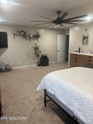 1177 Raccoon Lane, Piney Flats, TN 37686