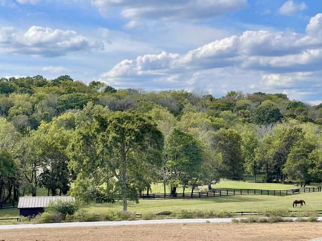 9684 Tiburon Dr, Brentwood, TN 37027