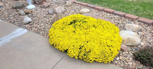 6315 Union Court, Arvada, CO 80004