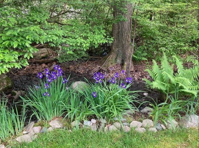 20 Talcott Road 20, Easton, MA 02356