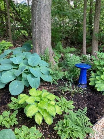 20 Talcott Road 20, Easton, MA 02356