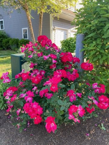20 Talcott Road 20, Easton, MA 02356