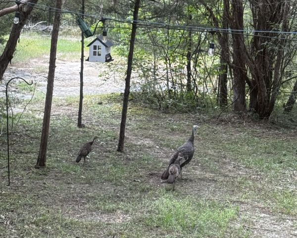 1578 S Berlin Rd, Lewisburg, TN 37091