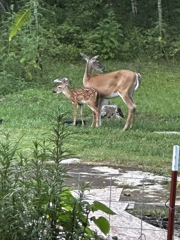 1578 S Berlin Rd, Lewisburg, TN 37091