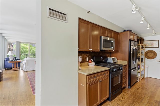 1230 N State Parkway 5B, Chicago, IL 60610