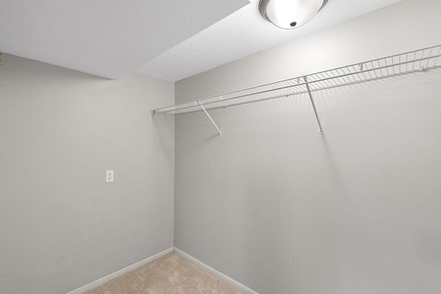 13620 Vinewood Lane N, Dayton, MN 55327