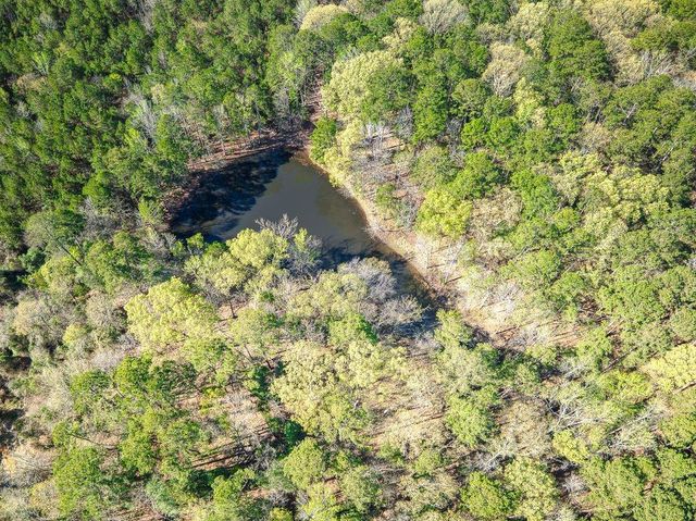 1383 Fm 3266, Palestine, TX 75801