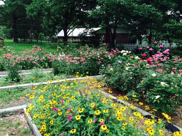 1383 Fm 3266, Palestine, TX 75801