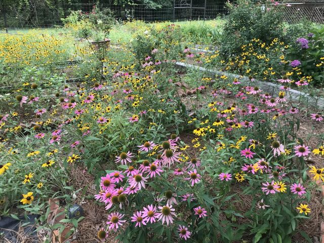 1383 Fm 3266, Palestine, TX 75801