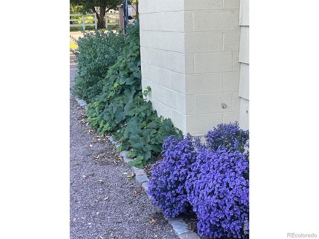 2614 W Vine Drive, Fort Collins, CO 80521