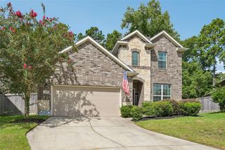 205 Elianne Lace Court, Willis, TX 77318