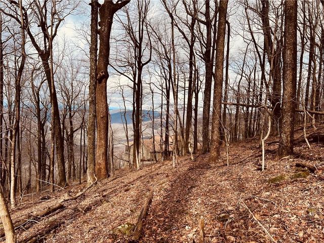 280 Big Stump Mountain Trail, Jasper, GA 30143