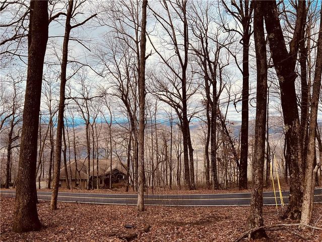 280 Big Stump Mountain Trail, Jasper, GA 30143