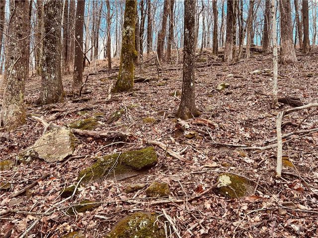 280 Big Stump Mountain Trail, Jasper, GA 30143