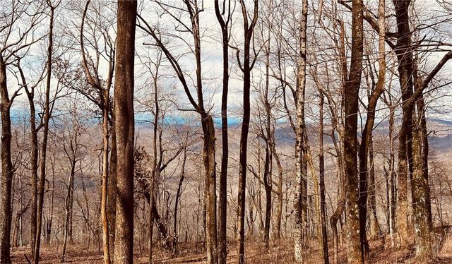 280 Big Stump Mountain Trail, Jasper, GA 30143