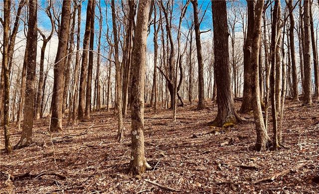 280 Big Stump Mountain Trail, Jasper, GA 30143