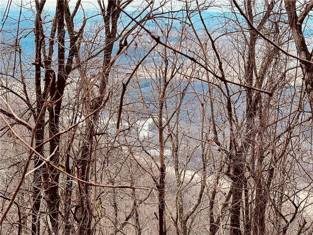 280 Big Stump Mountain Trail, Jasper, GA 30143