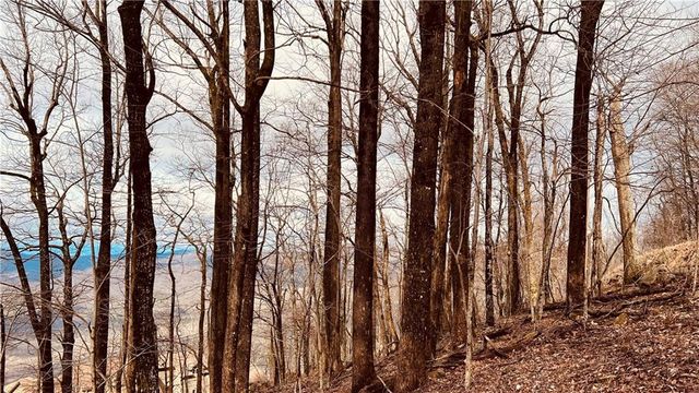 280 Big Stump Mountain Trail, Jasper, GA 30143