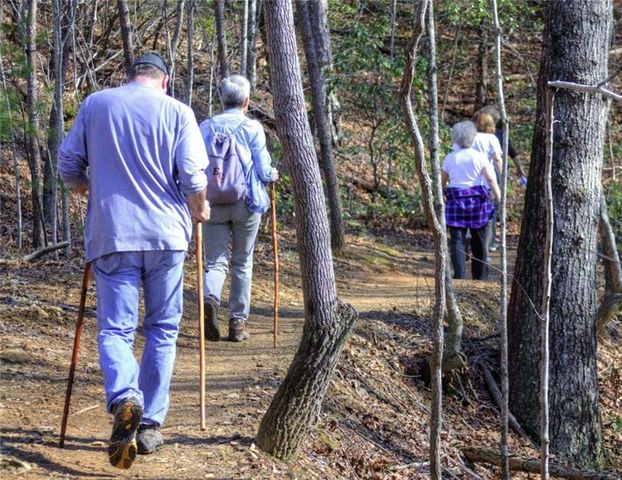 280 Big Stump Mountain Trail, Jasper, GA 30143