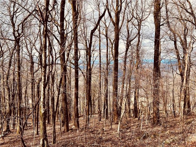 280 Big Stump Mountain Trail, Jasper, GA 30143
