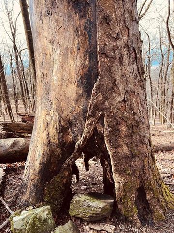 280 Big Stump Mountain Trail, Jasper, GA 30143