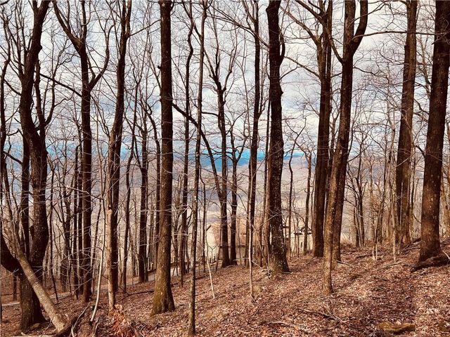 280 Big Stump Mountain Trail, Jasper, GA 30143