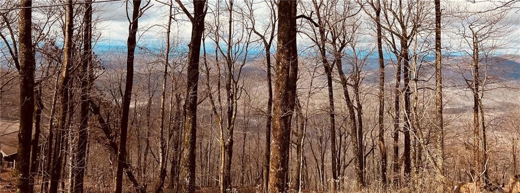 280 Big Stump Mountain Trail, Jasper, GA 30143