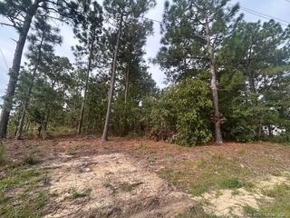 1218 & 1233 Loop Road, Raeford, NC 28376