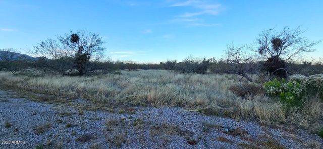 1.25 Acres E Emma Lane lot 1 -- -, Hereford, AZ 85615