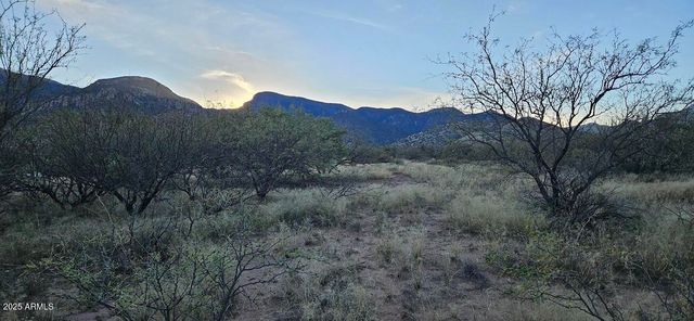 1.25 Acres E Emma Lane lot 1 -- -, Hereford, AZ 85615