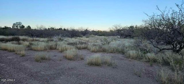 1.25 Acres E Emma Lane lot 1 -- -, Hereford, AZ 85615