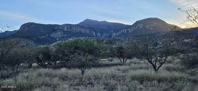 1.25 Acres E Emma Lane lot 1 -- -, Hereford, AZ 85615