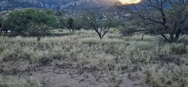 1.25 Acres E Emma Lane lot 1 -- -, Hereford, AZ 85615