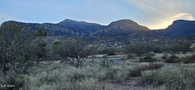 1.25 Acres E Emma Lane lot 1 -- -, Hereford, AZ 85615