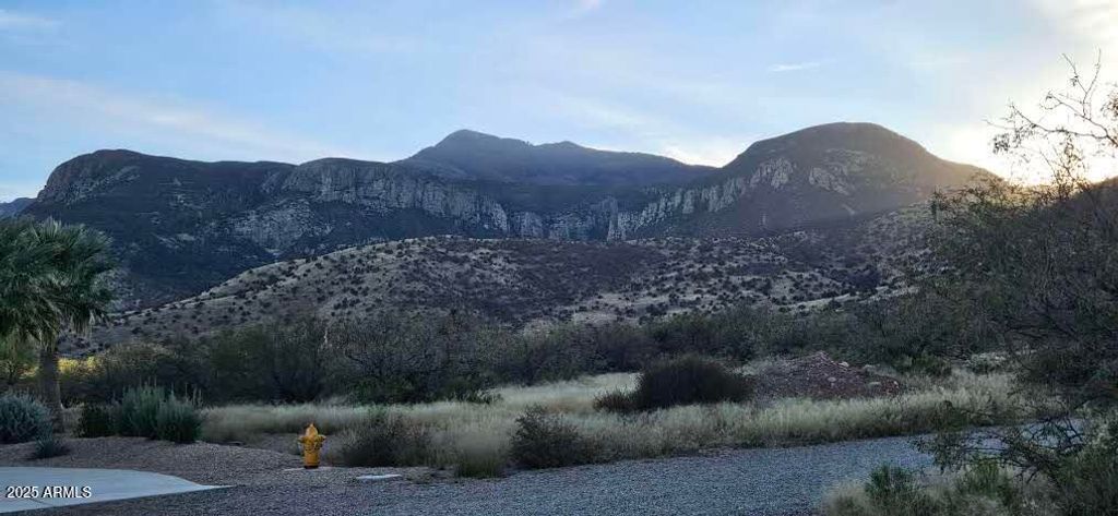 1.25 Acres E Emma Lane lot 1 -- -, Hereford, AZ 85615