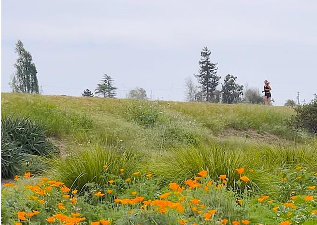 415 Spruce Circle, Watsonville, CA 95076