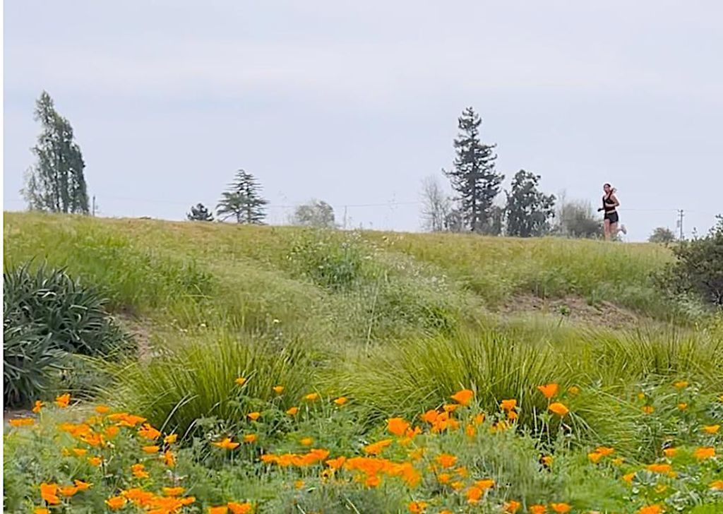 Image 28 of property listing at 415 Spruce Circle, Watsonville, CA 95076