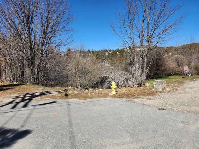 0 Elder Drive, Lake Arrowhead, CA 92321
