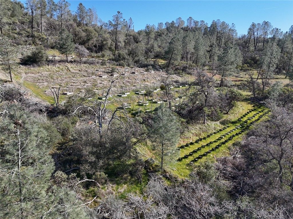 Image 10 of property listing at 0 CONDOR ROAD, Cherokee, CA 95965