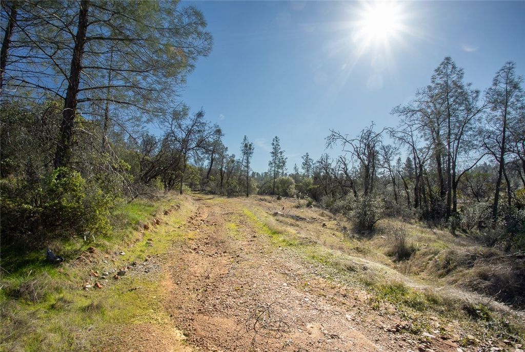 Image 36 of property listing at 0 CONDOR ROAD, Cherokee, CA 95965