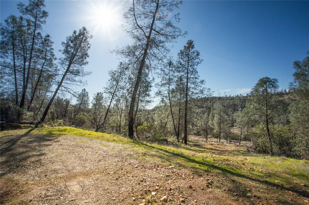 Image 40 of property listing at 0 CONDOR ROAD, Cherokee, CA 95965
