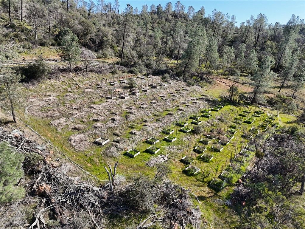 Image 8 of property listing at 0 CONDOR ROAD, Cherokee, CA 95965