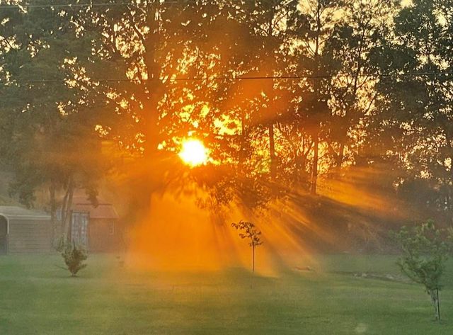 16180 Oaklawn Drive, Splendora, TX 77372