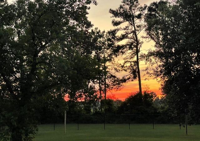 16180 Oaklawn Drive, Splendora, TX 77372