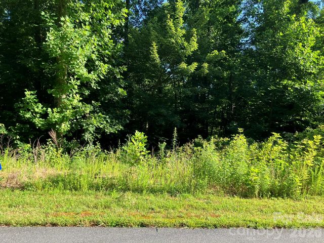 0 Rolling Ridge Trail 315, Lake Lure, NC 28746