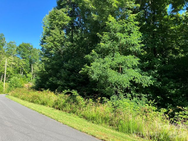 0 Rolling Ridge Trail 315, Lake Lure, NC 28746