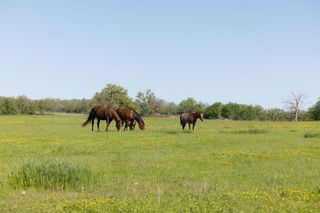 1346b Prairie Grove Road, Valley View, TX 76272