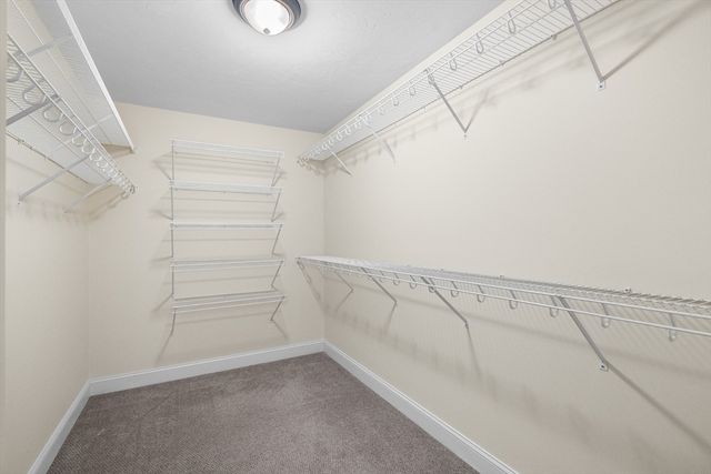 11 Checkerberry Ln, Chelmsford, MA 01824