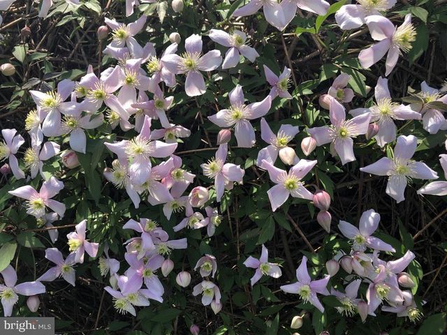 526 EGYPT RD, Phoenixville, PA 19460